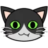 MediCat Installer